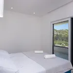 Luxury Navis - Vikendica Rogotin