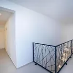 Luxury Navis -