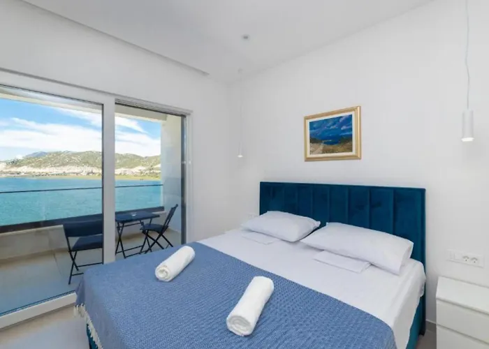 Luxury Navis - * Rogotin